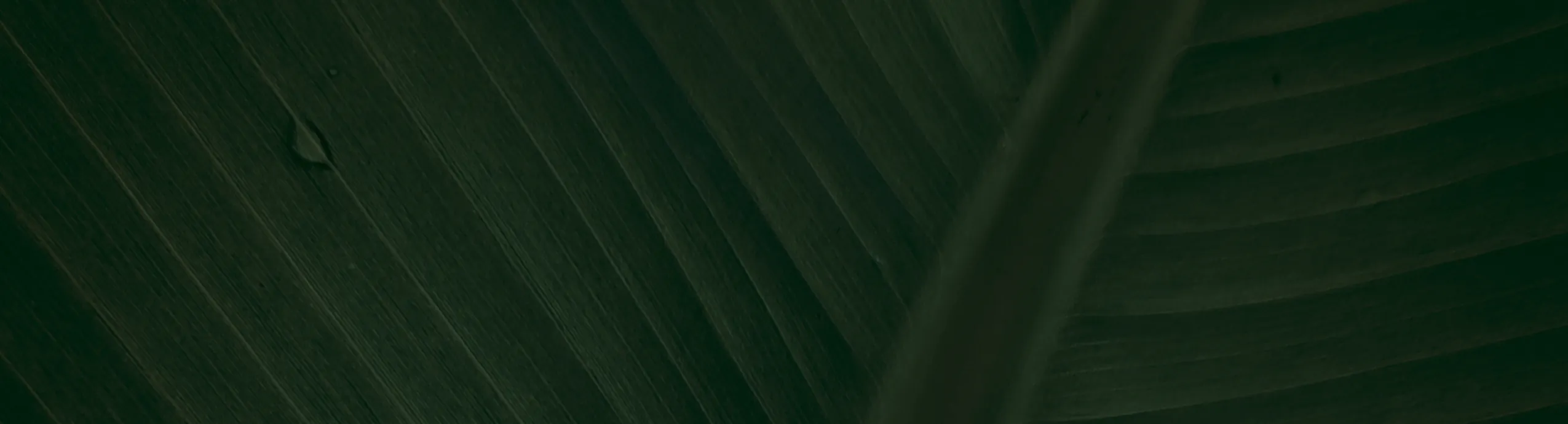 hero-image_optimized bagbag129